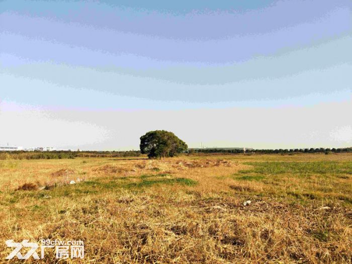 昆山蓬朗国有土地40亩空地出售